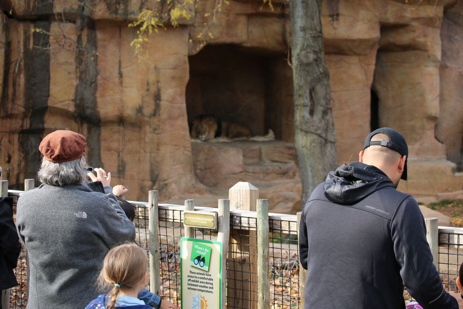 Zoo visitors observing animals in a large open exhibit.